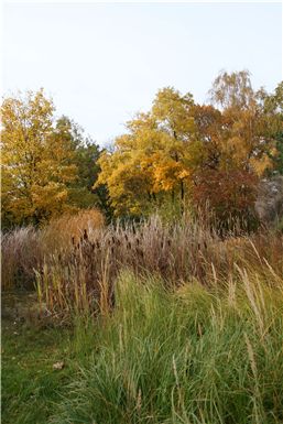 Download ==> Berliner_Herbst_2010_021.zip