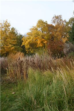 Download ==> Berliner_Herbst_2010_022.zip