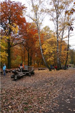 Download ==> Berliner_Herbst_2010_035.zip