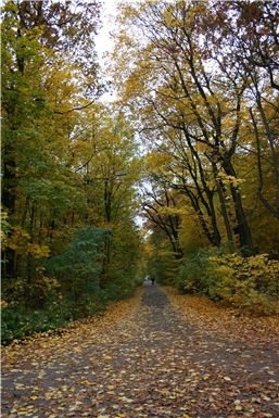 Download ==> Berliner_Herbst_2010_047.zip