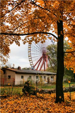 Download ==> Berliner_Herbst_2010_048.zip