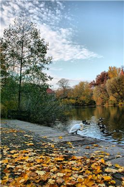 Download ==> Berliner_Herbst_2010_074.zip