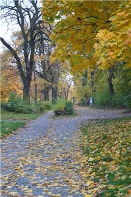 Download ==> Berliner_Herbst_2010_077.zip