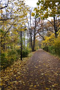 Treptower Park