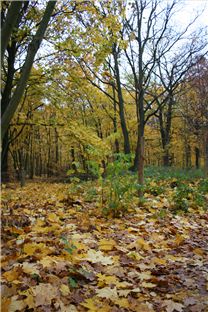 Treptower Park