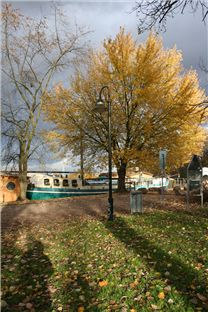 Treptower Park